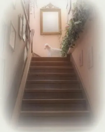 Apartamento La Lanera Riaza